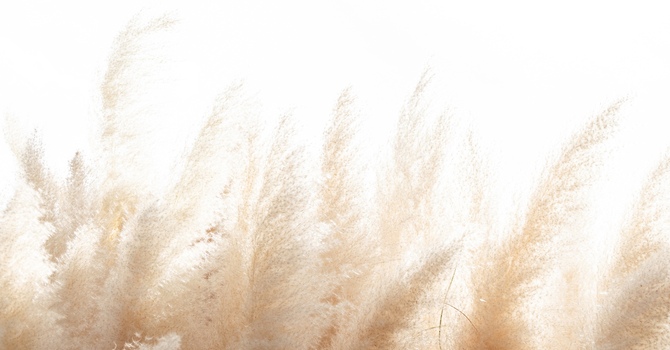Neuroaromatics Essential Oils Night - Thursday June 4th - FREE image